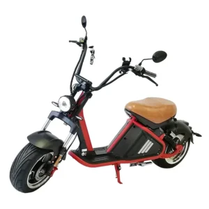 Moto Rooder Eléctrica Citycoco R 804 - M2