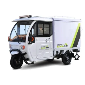 Eway Triciclo Electrico Truck R3