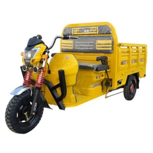 Triciclo Eléctrico Pick Up Y19 Pro Amarillo