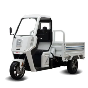 Triciclo Eléctrico Partner Van G5