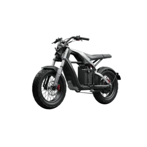 Xyber Segway